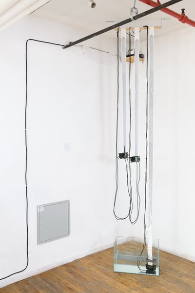 FilipWolak_SFPC19_0001_6321.jpg
