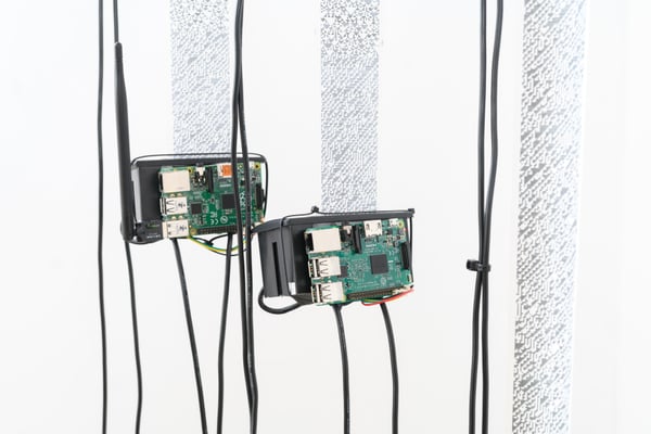 FilipWolak_SFPC19_0010_6335.jpg
