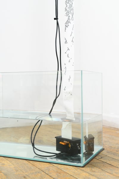 FilipWolak_SFPC19_0012_6339.jpg