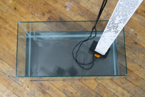 FilipWolak_SFPC19_0016_6346.jpg